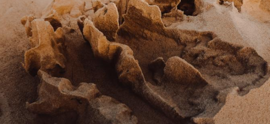 ramasitele arcei lui noe