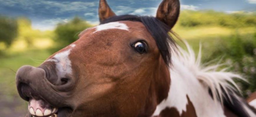 un avion a fost fortat sa se intoarca la aeroport
