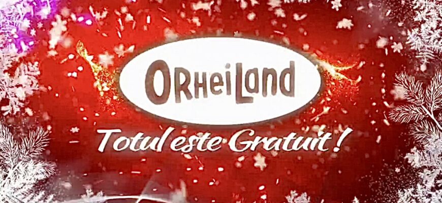 6gcwq8 2023 12 11 29 36 img 6503