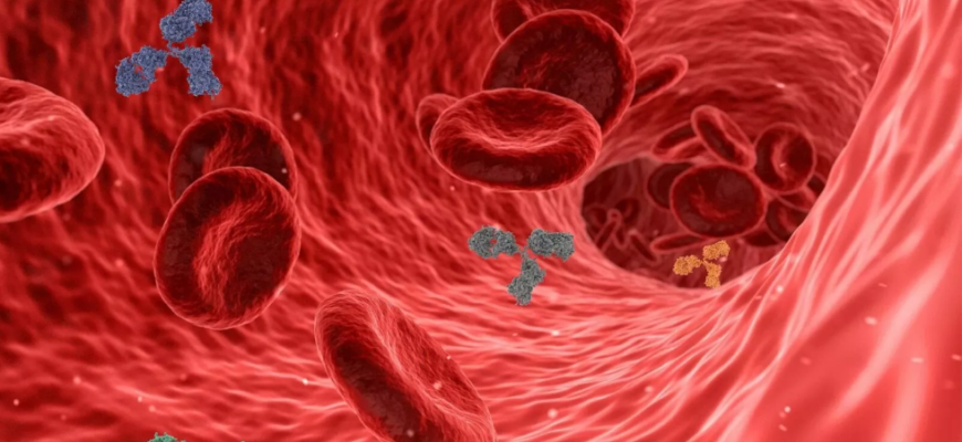 alimente care subtiaza sangele