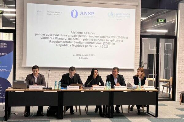 autoevaluarea anuala in domeniul implementarii rsi 2005