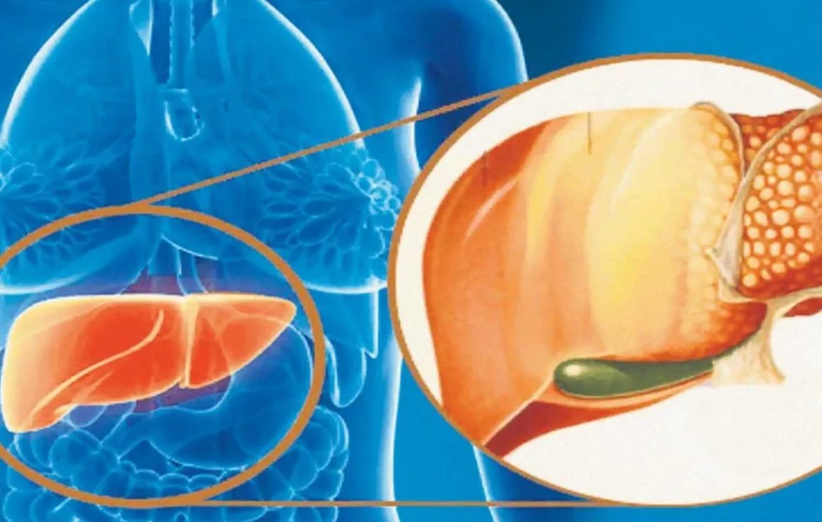 Ceaiurile, ideale pentru detoxifiere - Află care sunt cele mai bune ceaiuri care curăță ficatul