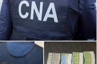 Percheziții, într-un dosar de spălare a banilor. Un cuplu din capitală este cercetat de CNA pentru deghizarea provenienței a 13 milioane de lei