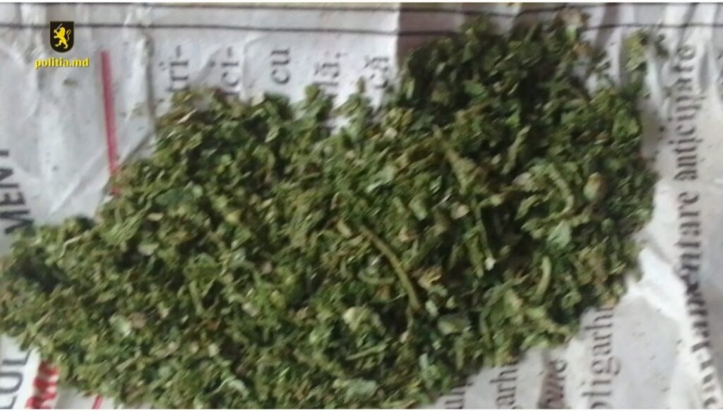 dosar de trafic de droguri