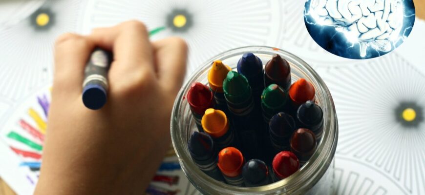 evenimente cheie in dezvoltarea creierului