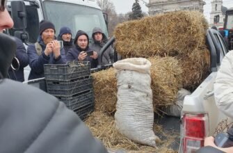 Gest disperat al agricultorilor, în fața Guvernului. Au adus paie, struguri și bălegar pentru conducerea țării