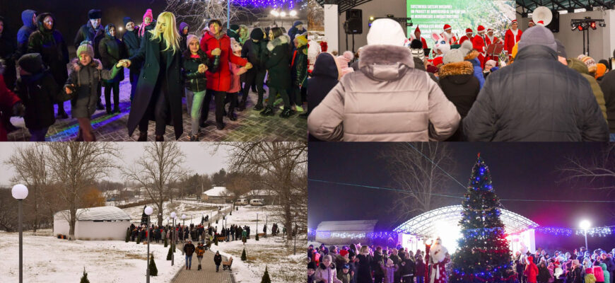 ilan sor raspopeni soldanesti