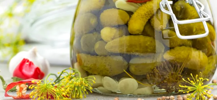 nu ar trebui sa manance castraveti murati