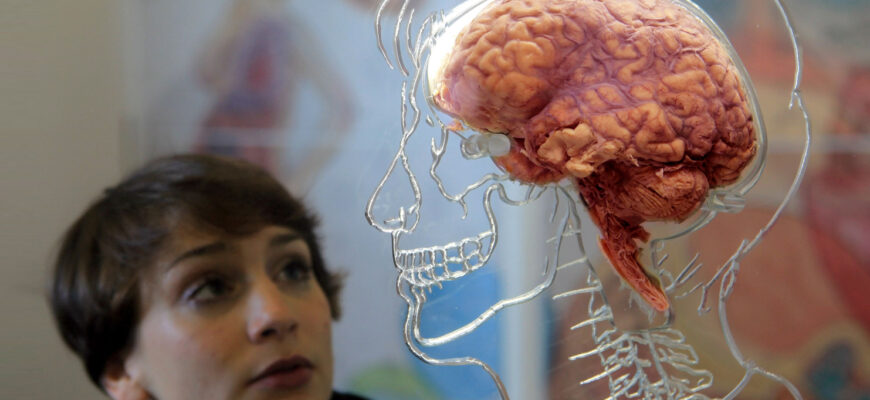 scobitul in nas creste riscul de alzheimer