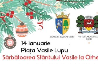concert la orhei