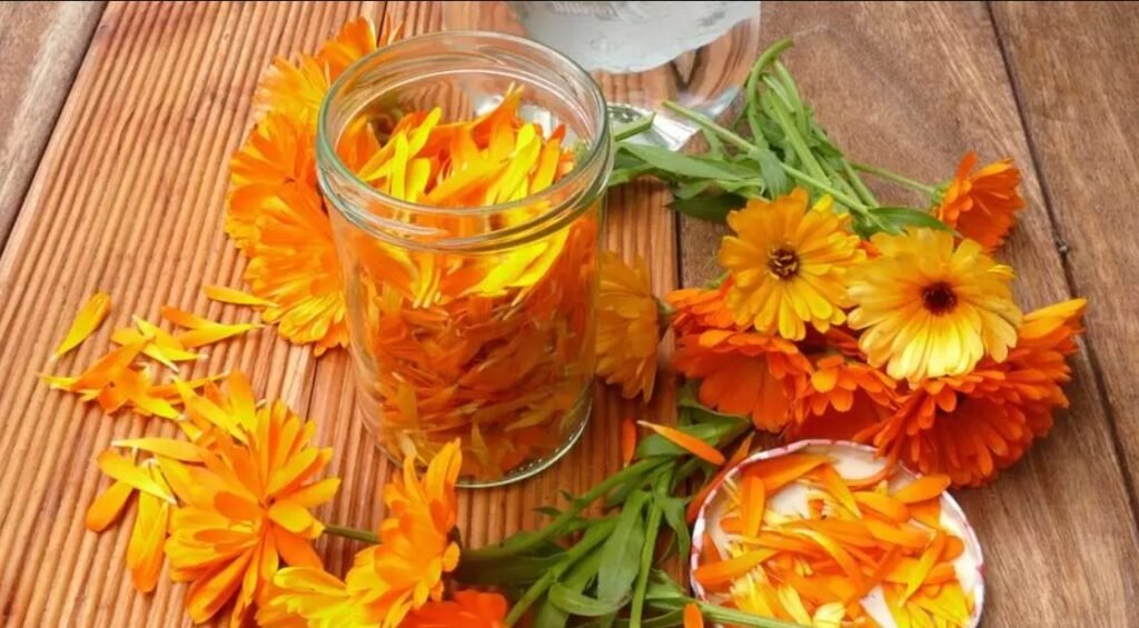 Crema și extractul de gălbenele - beneficii și întrebuințări 1 crema si extractul de galbenele
