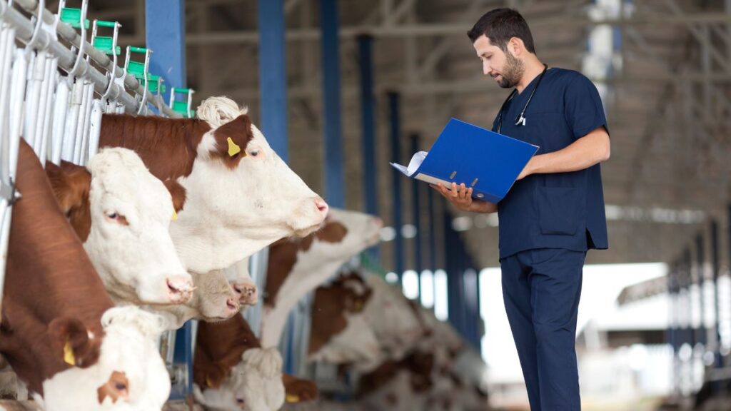 domeniul medicinei veterinare