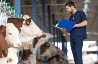 domeniul medicinei veterinare