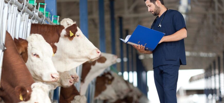 domeniul medicinei veterinare