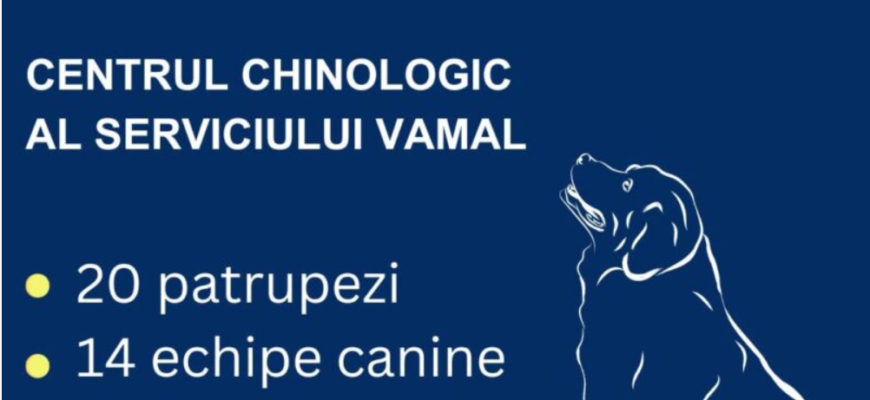 rezultatele pentru 2023 a echipelor canine