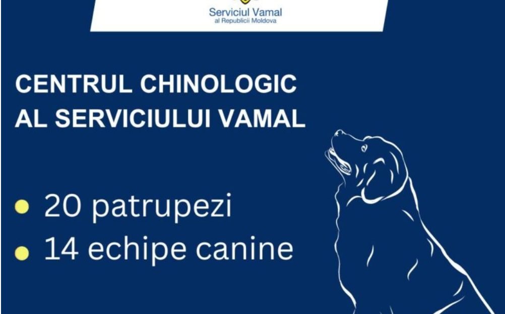 VIDEO// Serviciul Vamal publică rezultatele pentru 2023 a echipelor canine - 176 de ilegalități descoperite cu ajutorul patrupezilor SV