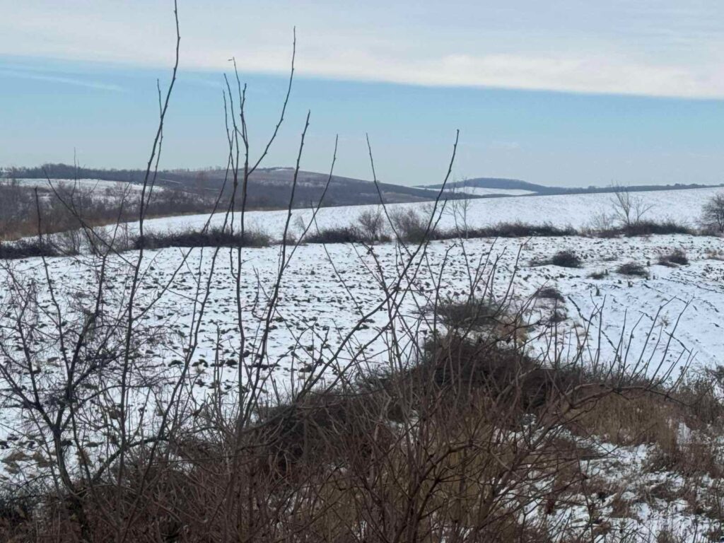 vizita de lucru la intreprinderea pentru silvicultura balti