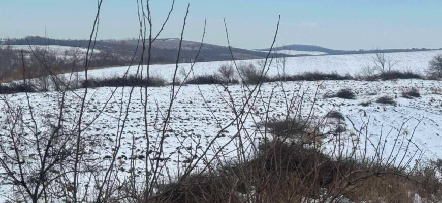 vizita de lucru la intreprinderea pentru silvicultura balti