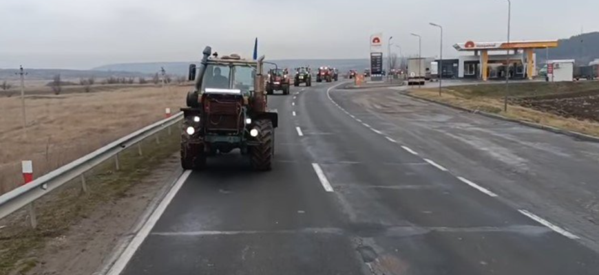 au intervenit mascatii sau nu