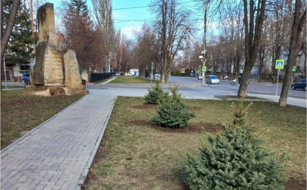 Circa 800 de molizi au fost plantaţi în ultimele săptămâni pe aliniamentele stradale