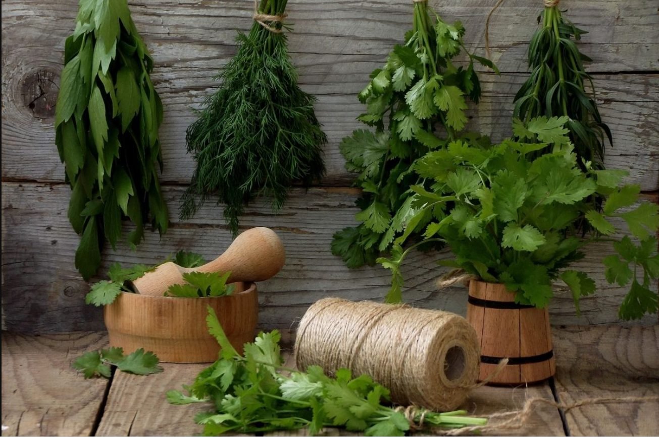 Plante aromatice cu numeroase beneficii pentru sănătate utilizate în bucătărie