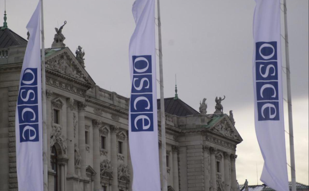 delegatia parlamentului republicii moldova