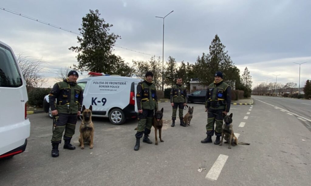 Poliția de Frontieră desfășoară cursuri de reciclare pentru echipele canine ale instituției