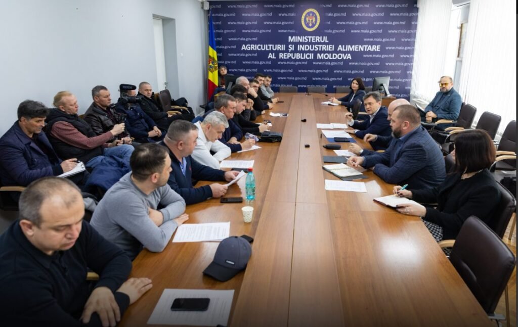 Dorin Recean: „Guvernul a oferit o soluție imediată pentru producătorii de cereale – Creditul Agricol de Urgență, prin care va garanta 90% pentru 500 de mii de lei per întreprindere” 2 Dorin Recean: „Guvernul a oferit o soluție imediată pentru producătorii de cereale – Creditul Agricol de Urgență, prin care va garanta 90% pentru 500 de mii de lei per întreprindere”