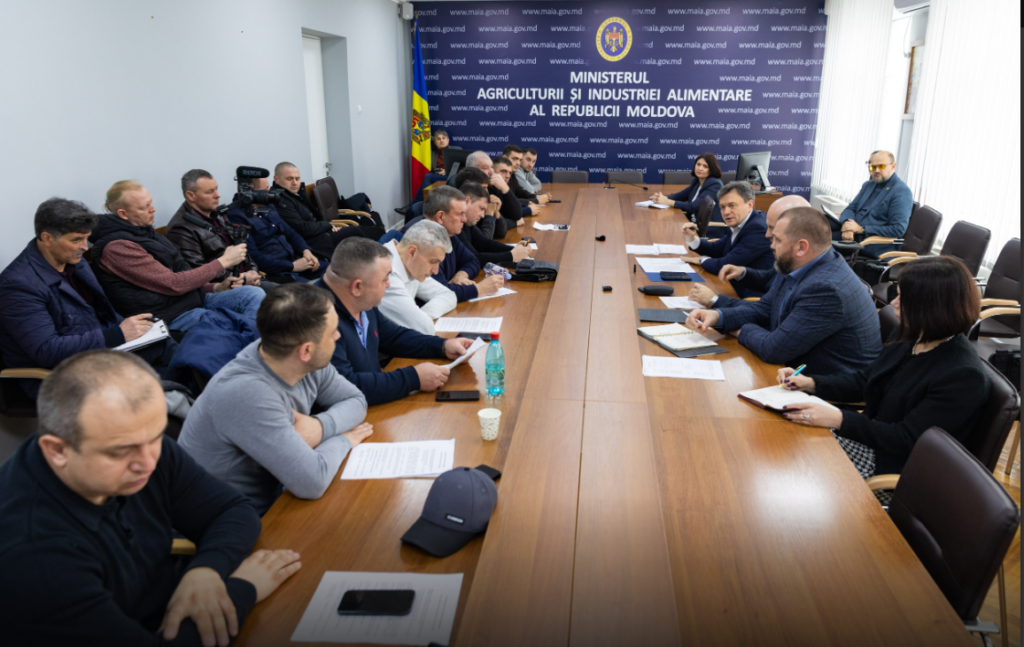 guvernul a oferit o solutie imediata