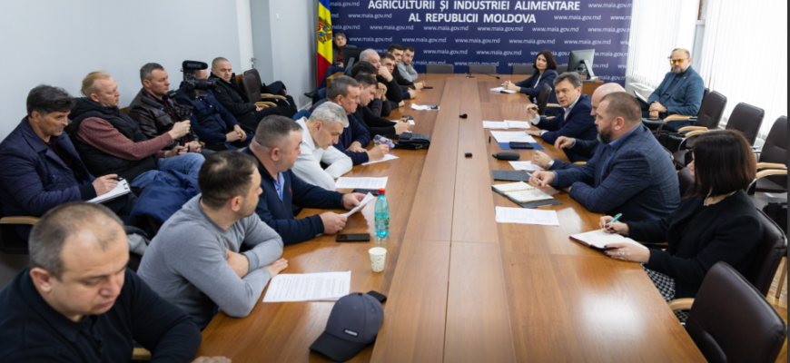 guvernul a oferit o solutie imediata