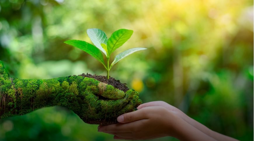 Ministerul Mediului a elaborat Proiectul Hotărârii Guvernului pentru aprobarea Regulamentului privind însemnele etichetei ecologice
