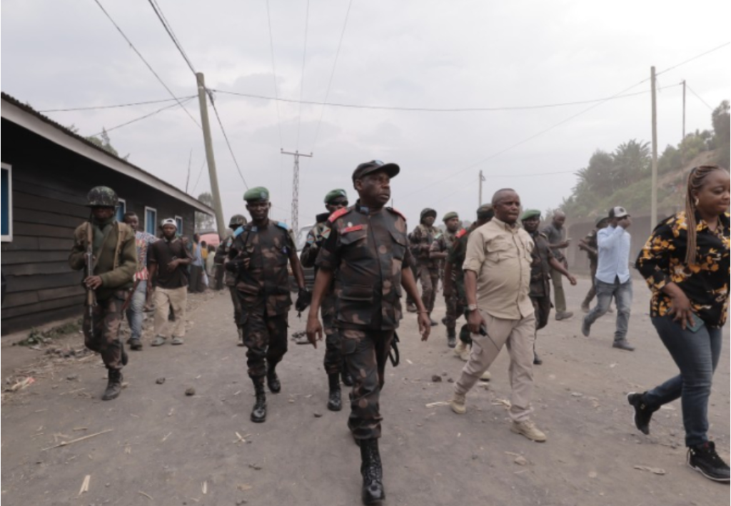 protestatari ard steaguri