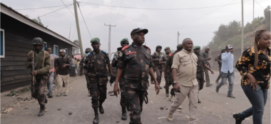 protestatari ard steaguri