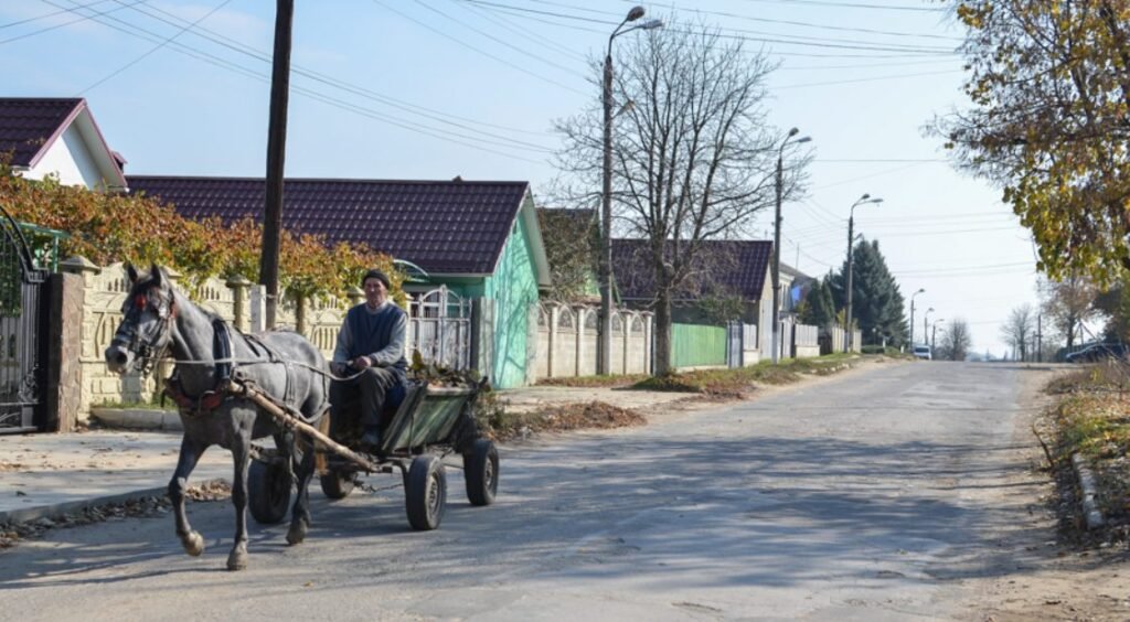 Recensământ cu amenzi pentru cei care refuză să participe