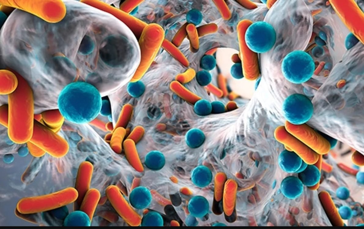 Rezistența la antibiotice, o amenințare la nivel global. Care sunt pericolele din spatele utilizării lor, fără rețetă