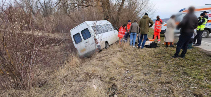 s a izbit intr un copac