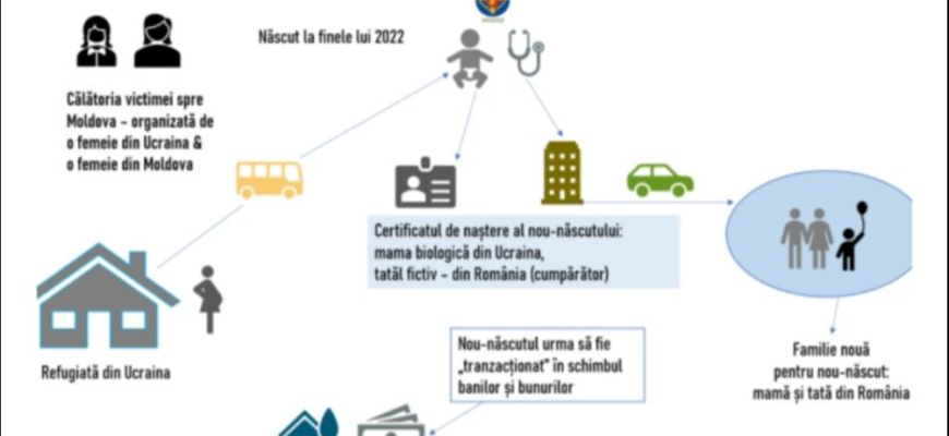 schema vanzarii nou nascutului