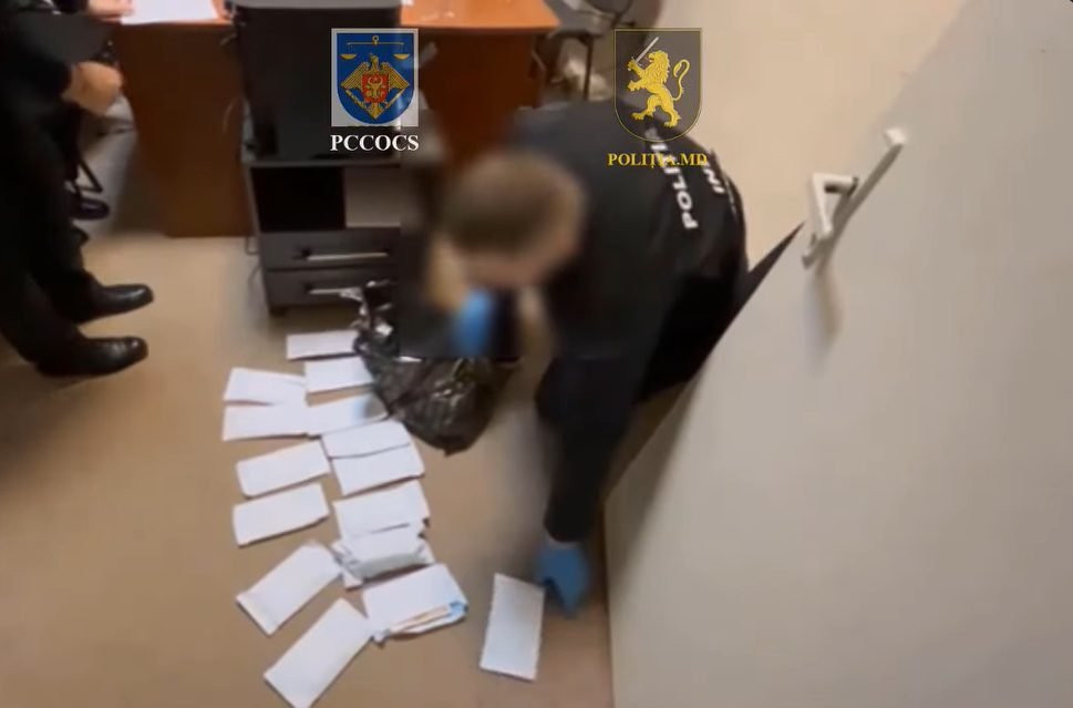 Moldoveancă, agricultoare în Italia: „Nu este un sacrificiu să mă murdăresc cu pământ” 1 screenshot 1 2