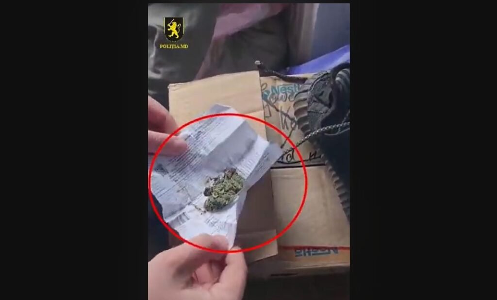 VIDEO// Droguri în valoare de circa 100 mii de lei, ridicate de polițiști în sudul țării