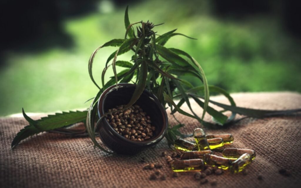 Ucraina a legalizat consumul de canabis în scop medicinal: ”Peste șase milioane de persoane au nevoie”