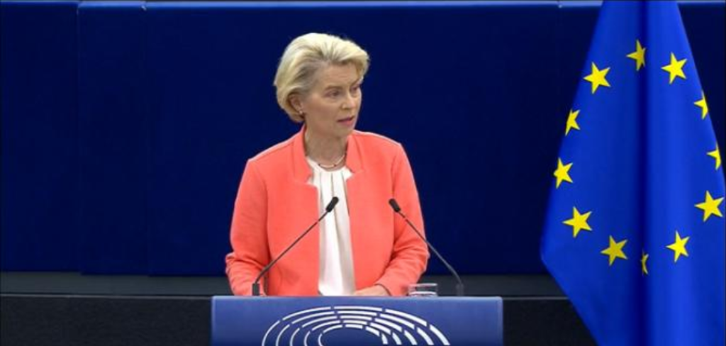 von der leyen candidat