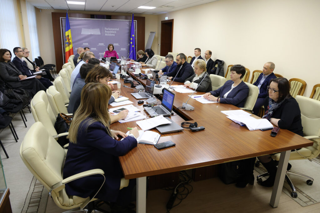 a examinat rapoartele de audit