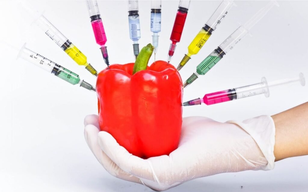 Care sunt cele mai comune alimente modificate genetic, funcțiile acestora și riscurile care pot afecta consumatorul 1 Care sunt cele mai comune alimente modificate genetic, funcțiile acestora și riscurile care pot afecta consumatorul
