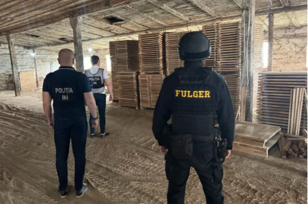 VIDEO// Contrabandă cu masă lemnoasă – contracarată de Poliție