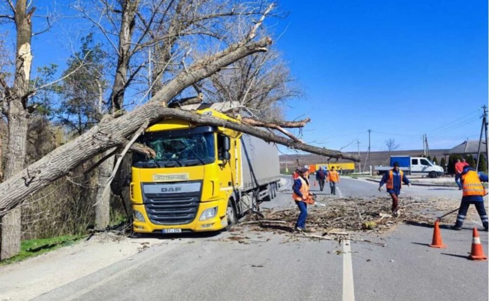 Copac, prăbușit peste un camion pe un drum din țară. Administrația de Stat a Drumurilor a lansat o atenționare