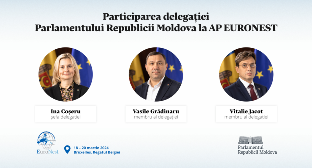 grup de deputati