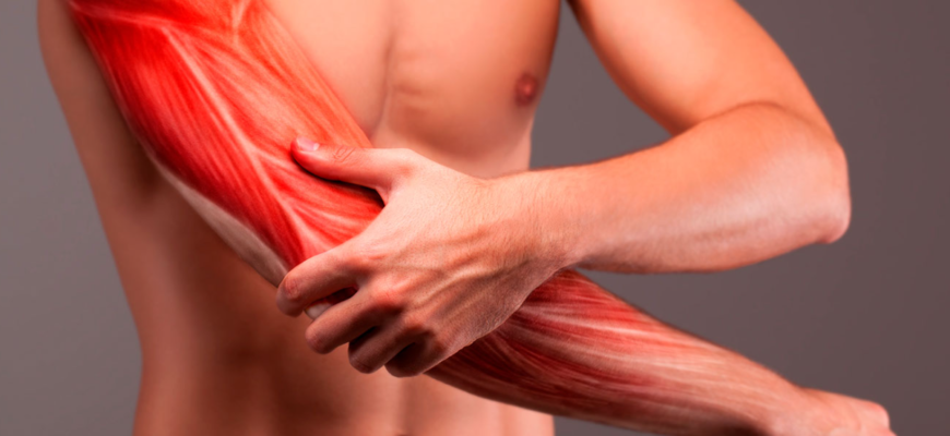 mialgia este afectiunea cunoscuta in popor sub denumirea de dureri musculare