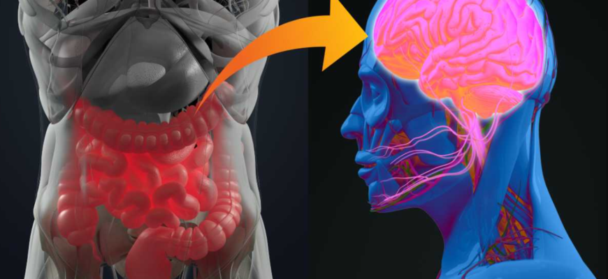 microbiomul intestinal si ateroscleroza