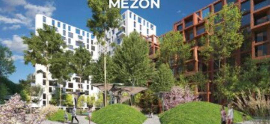 proiectul mezon