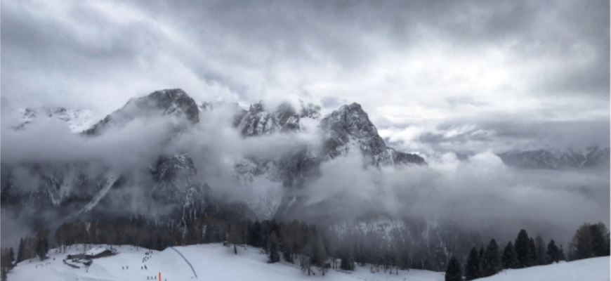 schiori gasiti morti